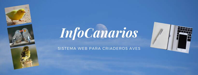 Logo Infocanarios